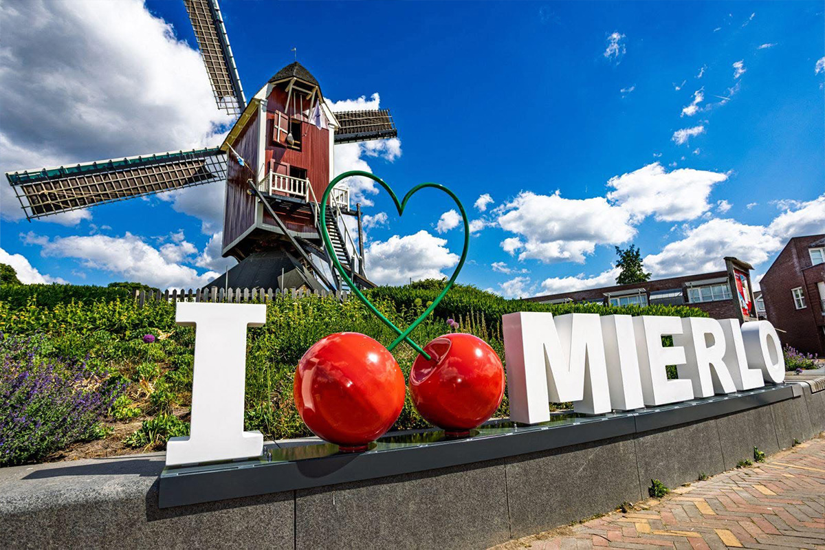 I LOVE MIERLO